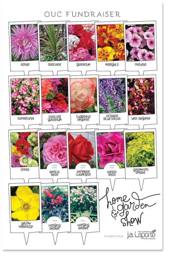 OUC home & garden show | flowers poster