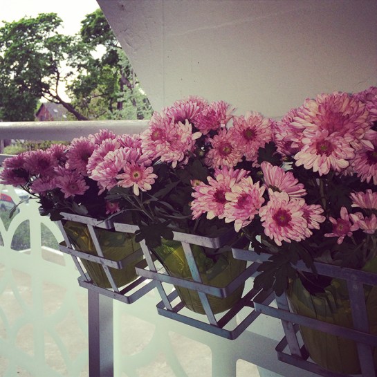 instagram: @laura_weatherston